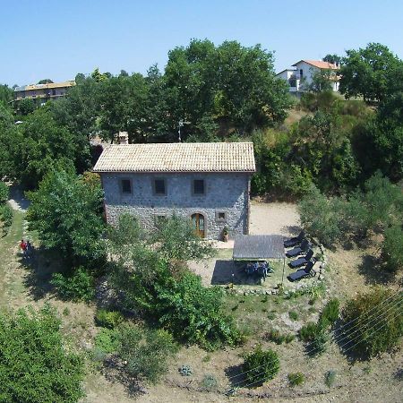 Vila Fattoria Capobianco Montefiascone Exteriér fotografie