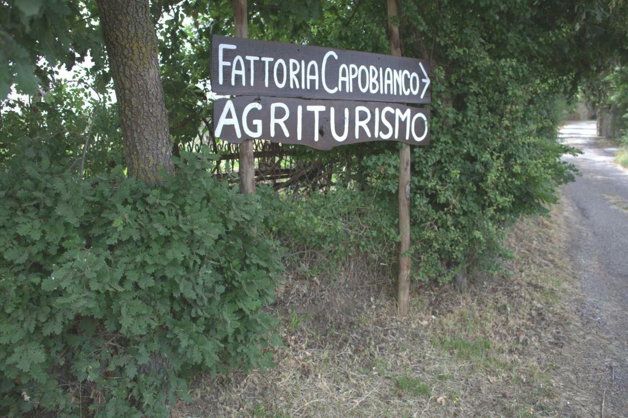 Vila Fattoria Capobianco Montefiascone Exteriér fotografie